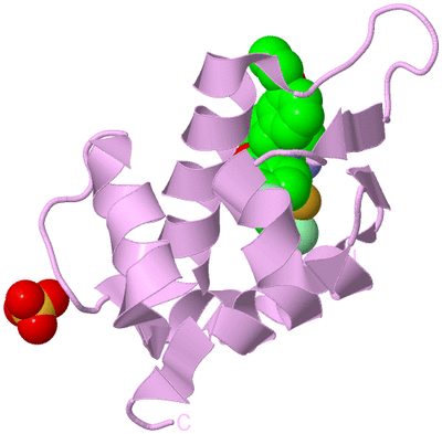 Image Biological Unit 5