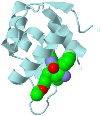 Image Biological Unit 6