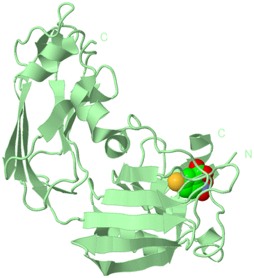 Image Biological Unit 2