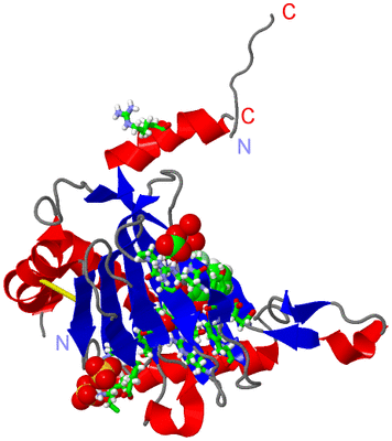 Image Asym./Biol. Unit - sites