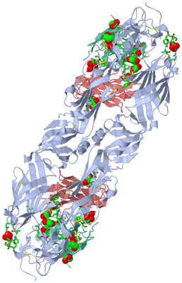 Image Biol. Unit 1 - sites