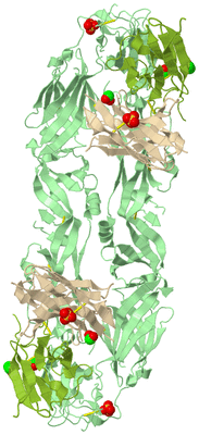 Image Biological Unit 2