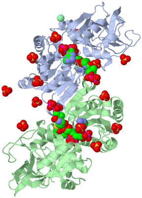 Image Asym./Biol. Unit