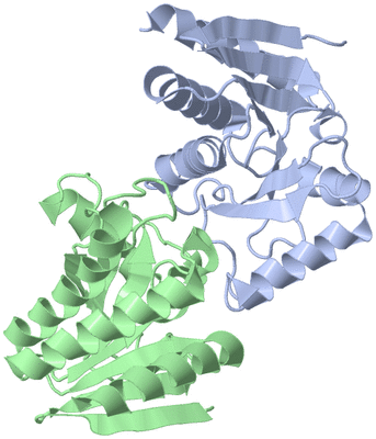 Image Asymmetric Unit