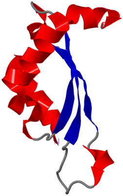 Image NMR Structure - model 1