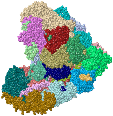 Image Asym./Biol. Unit