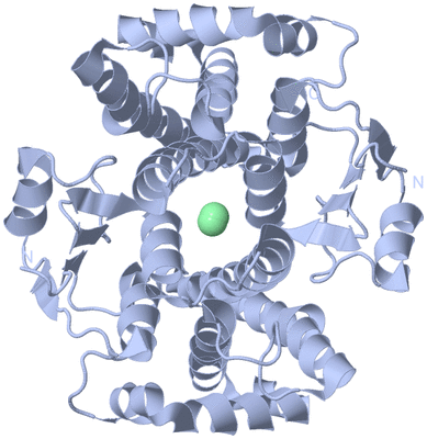 Image Biological Unit 1