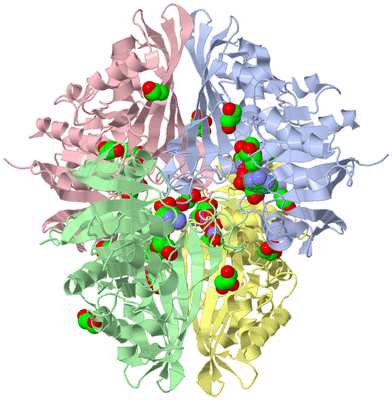 Image Asym./Biol. Unit