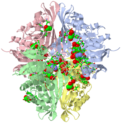 Image Asym./Biol. Unit - sites
