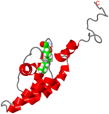 Image NMR Structure - model 1