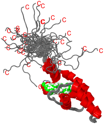 Image NMR Structure - all models