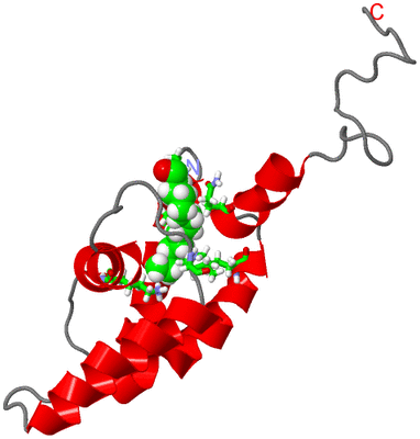 Image NMR Structure - model 1, sites