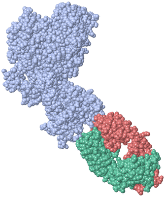 Image Asym./Biol. Unit