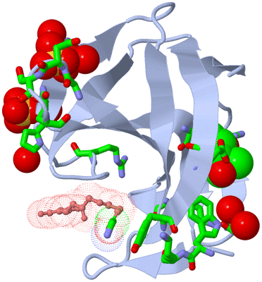 Image Biol. Unit 1 - sites