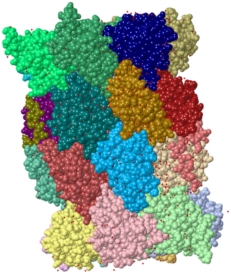 Image Asym./Biol. Unit - sites