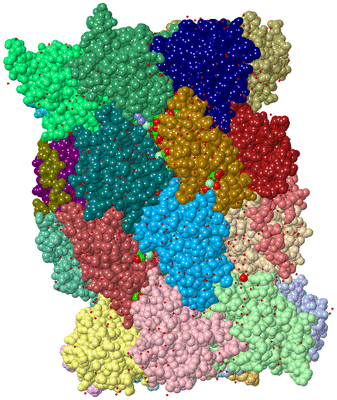 Image Asym./Biol. Unit - sites