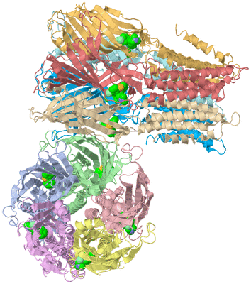 Image Asym./Biol. Unit