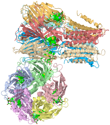 Image Asym./Biol. Unit - sites