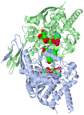 Image Biological Unit 1