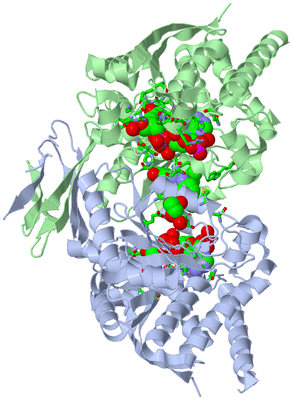 Image Biol. Unit 1 - sites