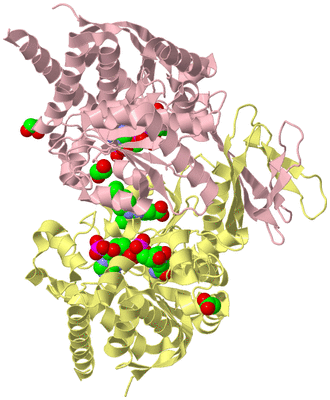 Image Biological Unit 2