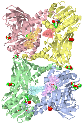 Image Asym./Biol. Unit