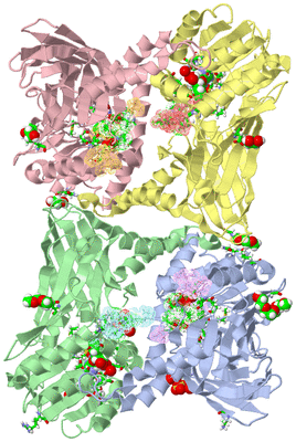 Image Asym./Biol. Unit - sites