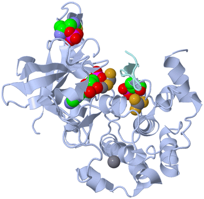 Image Biological Unit 1