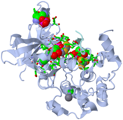 Image Biol. Unit 1 - sites