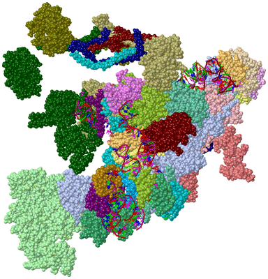 Image Asym./Biol. Unit