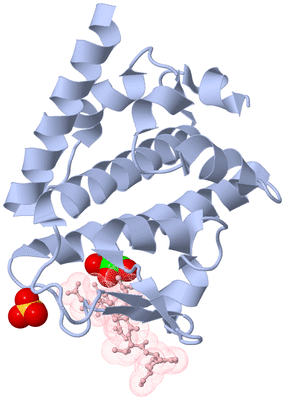 Image Biological Unit 1