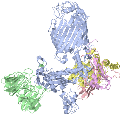 Image Asym./Biol. Unit