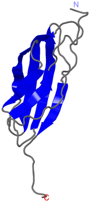 Image NMR Structure - model 1