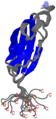 Image NMR Structure - all models