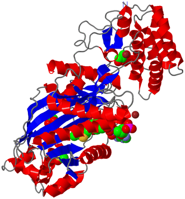 Image Asym./Biol. Unit