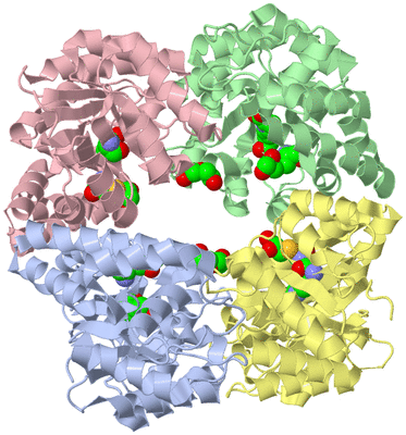 Image Asym./Biol. Unit