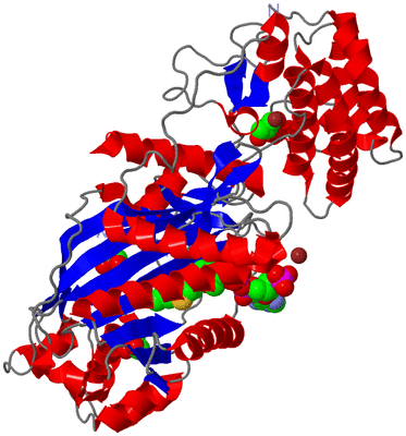 Image Asym./Biol. Unit