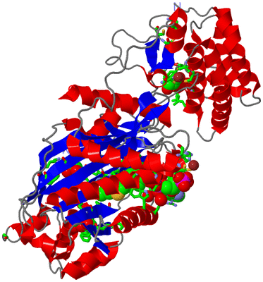 Image Asym./Biol. Unit - sites