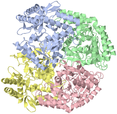 Image Asym./Biol. Unit