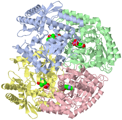 Image Asym./Biol. Unit