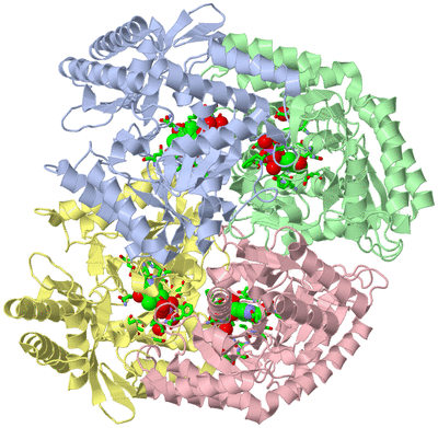 Image Asym./Biol. Unit - sites