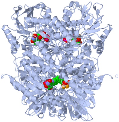 Image Biological Unit 1