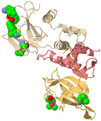 Image Biological Unit 3