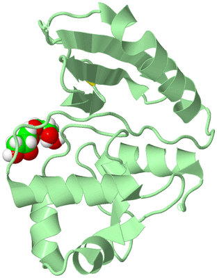 Image Biological Unit 2