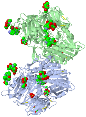 Image Biological Unit 1