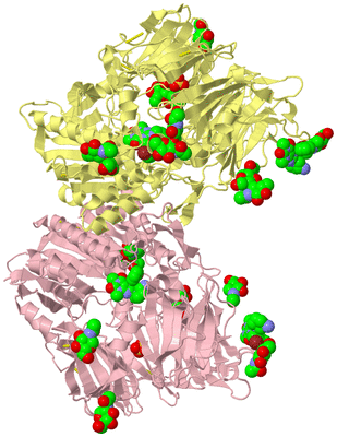 Image Biological Unit 2