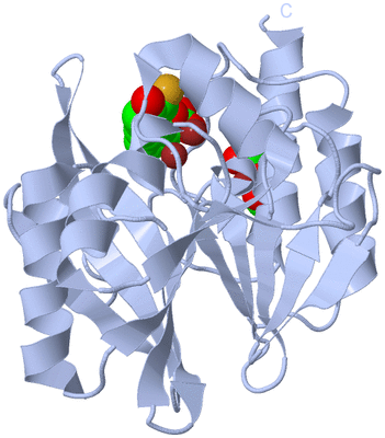 Image Biological Unit 2