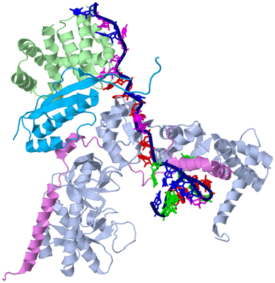 Image Biological Unit 1