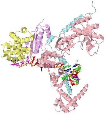 Image Biological Unit 2