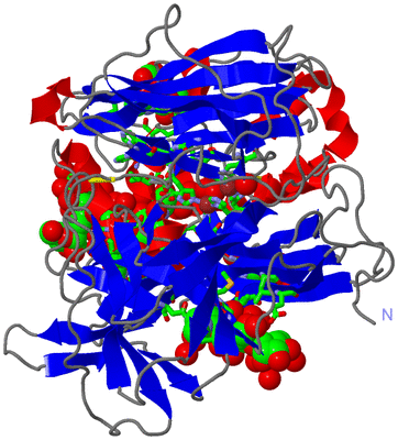 Image Asym./Biol. Unit - sites